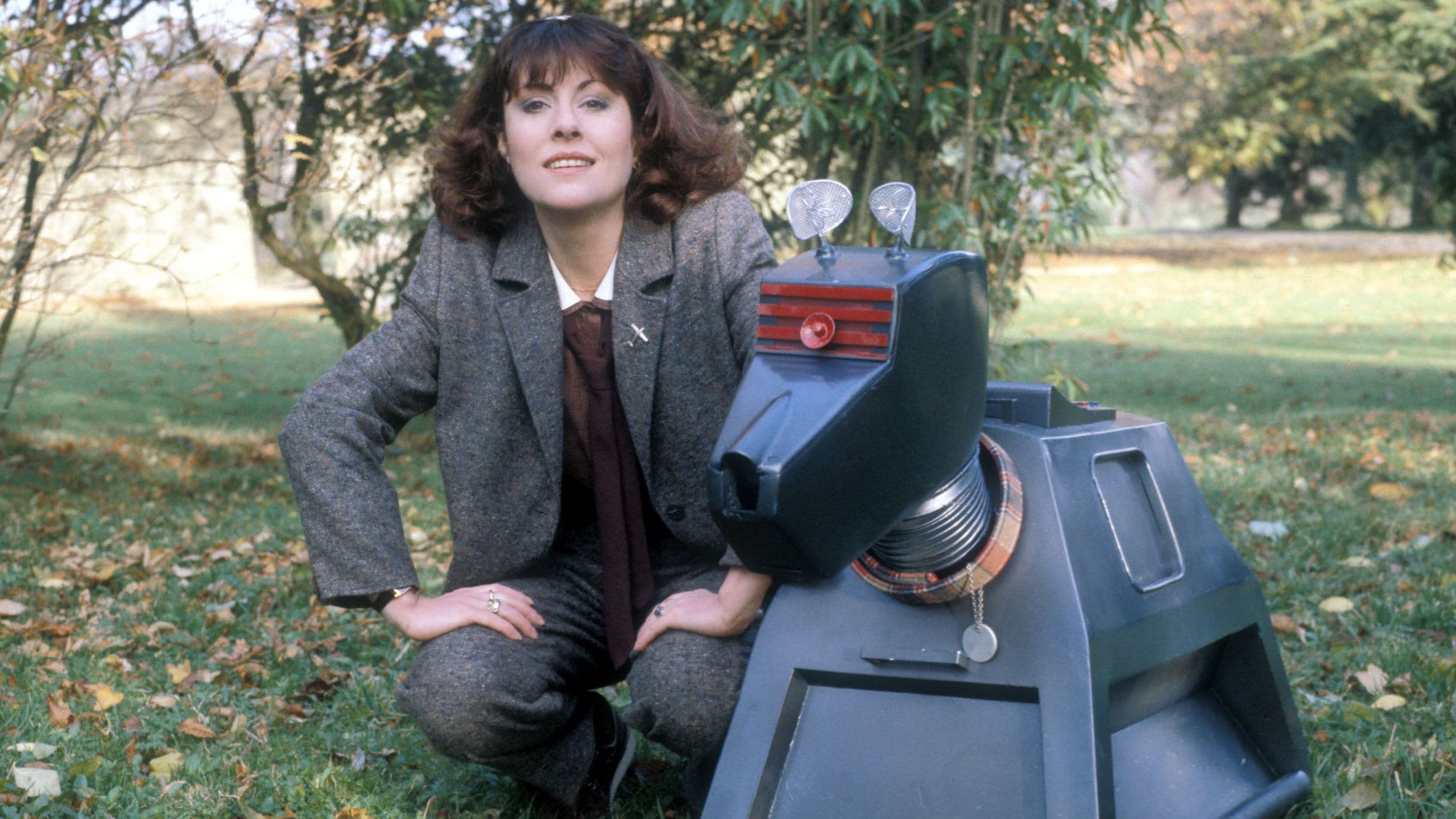 Backdrop for K-9 and Company