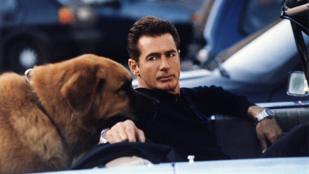 Backdrop for Tequila and Bonetti