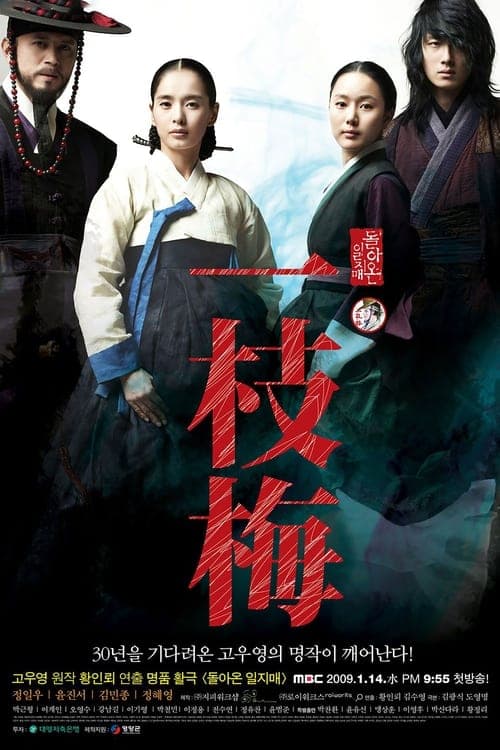 Poster for The Return of Iljimae
