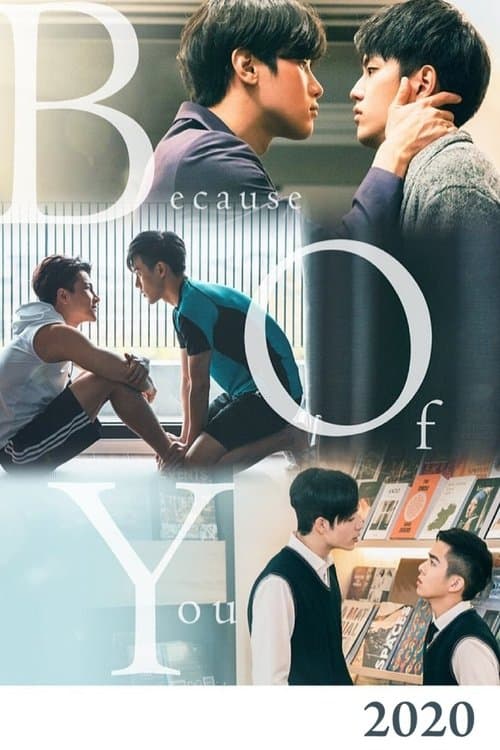Poster for Because of You