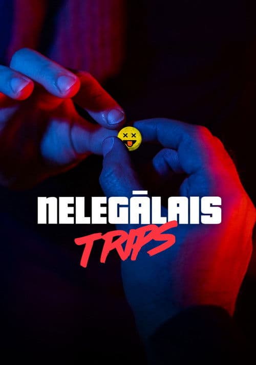 Poster for The Illegal Trip