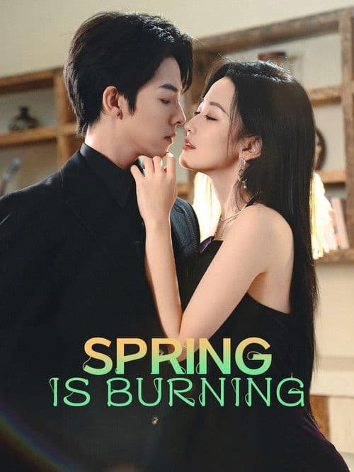 Poster for Love in the Spring Night