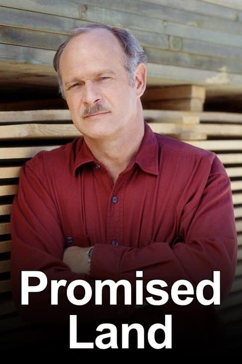 Poster for Promised Land