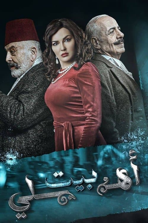 Poster for My Family's House