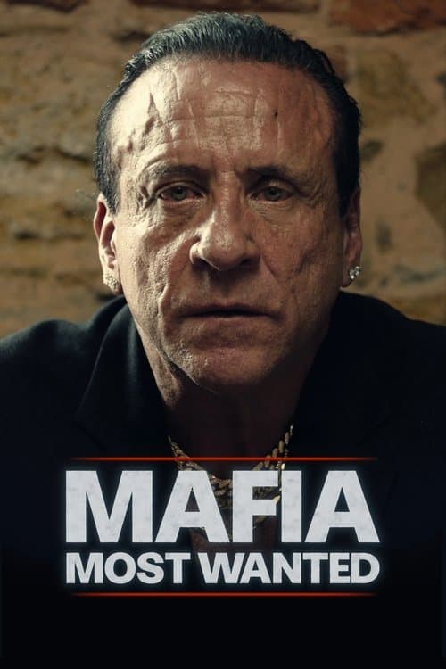 Poster for Mafia: Most Wanted