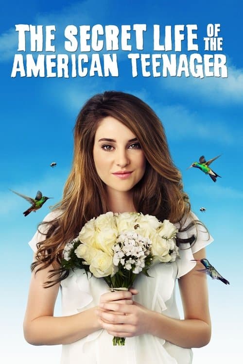 Poster for The Secret Life of the American Teenager