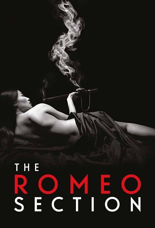 Poster for The Romeo Section