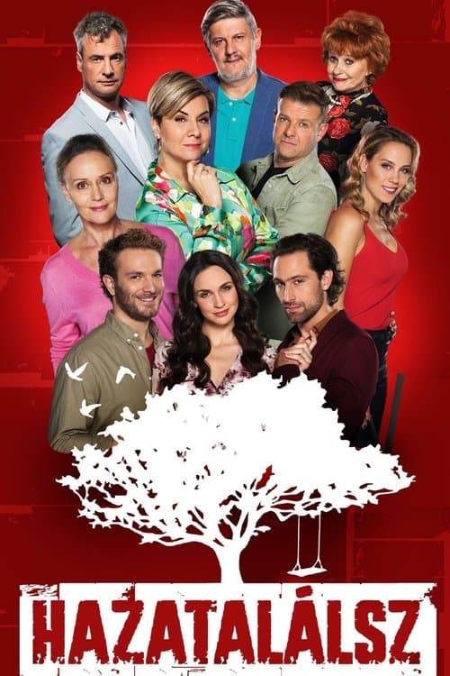 Poster for Hazatalálsz