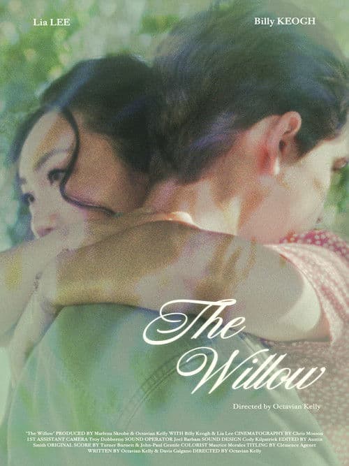 Poster for The Willow