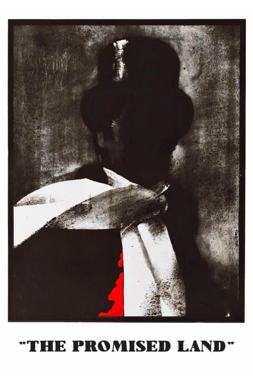 Poster for The Promised Land