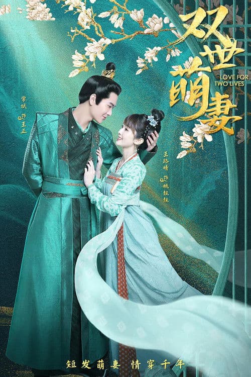 Poster for Love For Two Lives