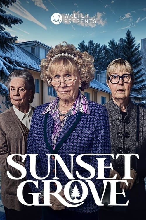 Poster for Sunset Grove