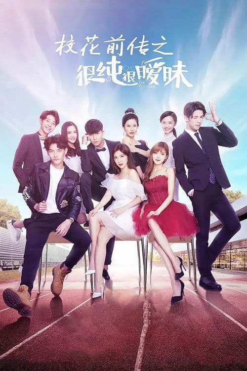 Poster for The Visioner