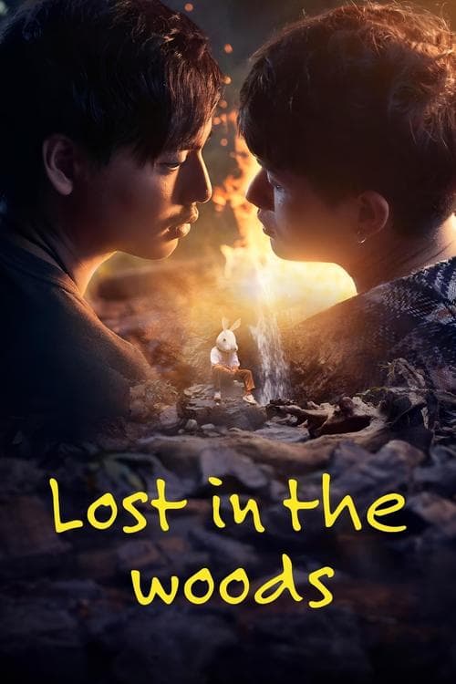 Poster for Lost in the Woods