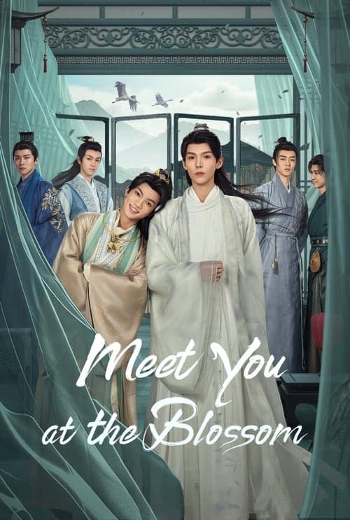 Poster for Meet You at the Blossom