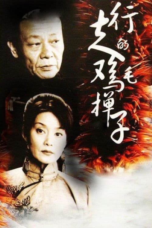 Poster for 行走的鸡毛掸子
