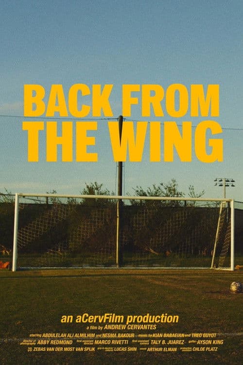 Poster for Back from the Wing